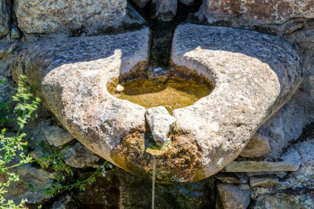Отель Les Bergeries "Le Figuier" Omessa Экстерьер фото