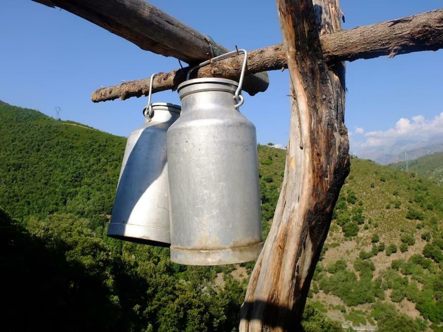 Отель Les Bergeries "Le Figuier" Omessa Экстерьер фото