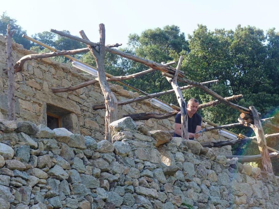 Отель Les Bergeries "Le Figuier" Omessa Экстерьер фото