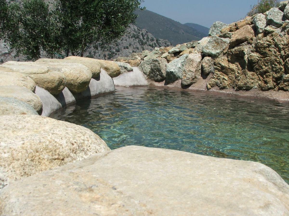 Отель Les Bergeries "Le Figuier" Omessa Экстерьер фото