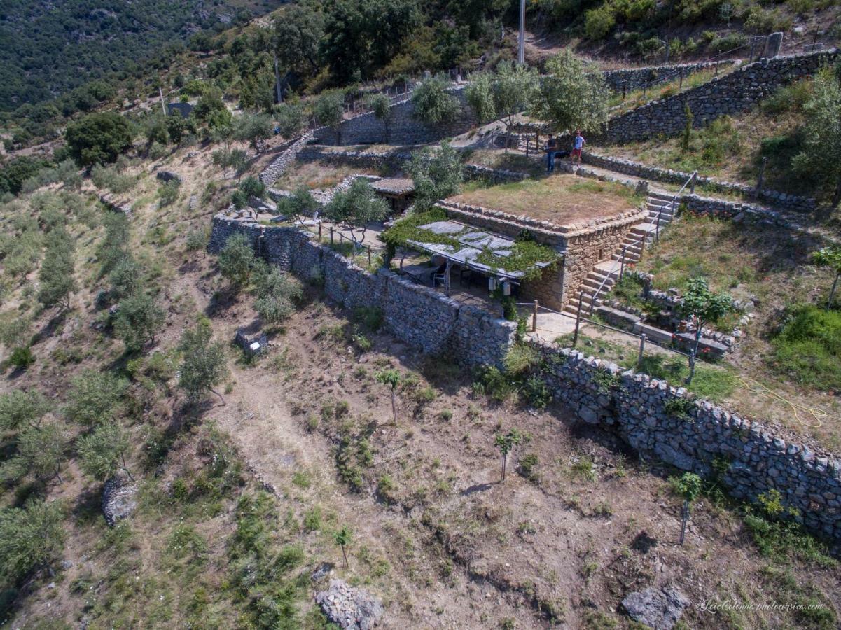 Отель Les Bergeries "Le Figuier" Omessa Экстерьер фото