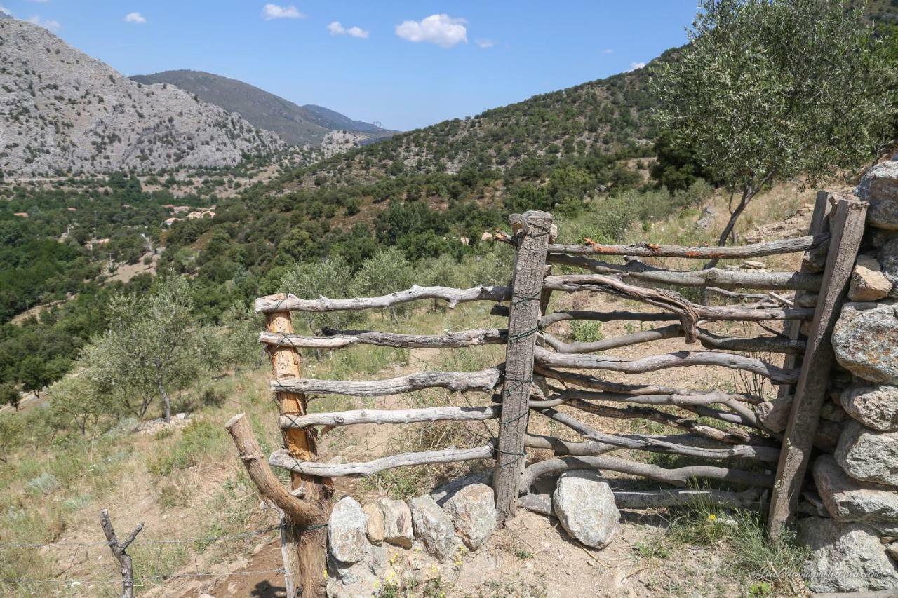 Отель Les Bergeries "Le Figuier" Omessa Экстерьер фото