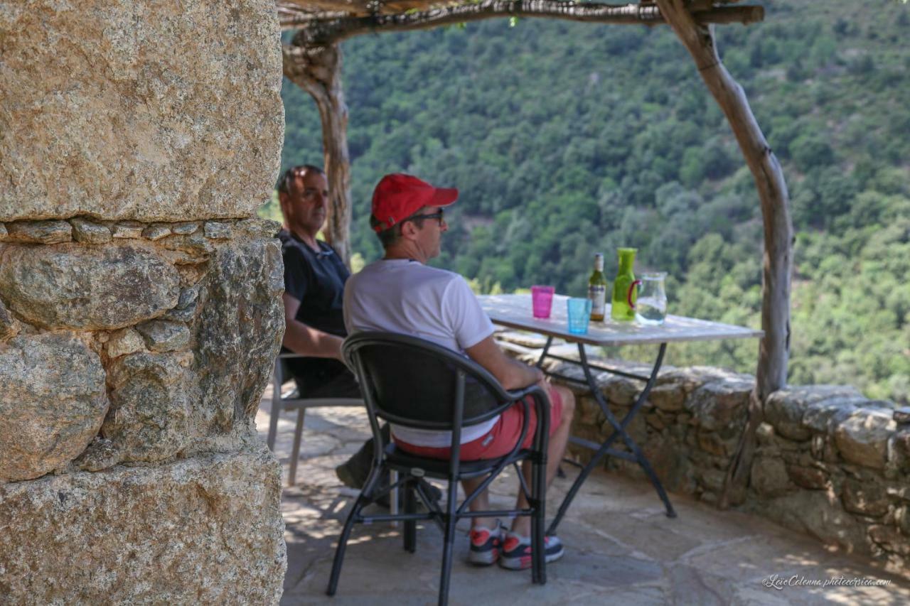 Отель Les Bergeries "Le Figuier" Omessa Экстерьер фото