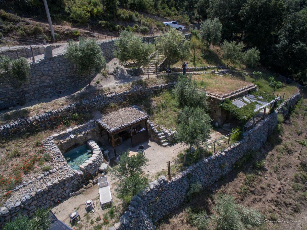 Отель Les Bergeries "Le Figuier" Omessa Экстерьер фото