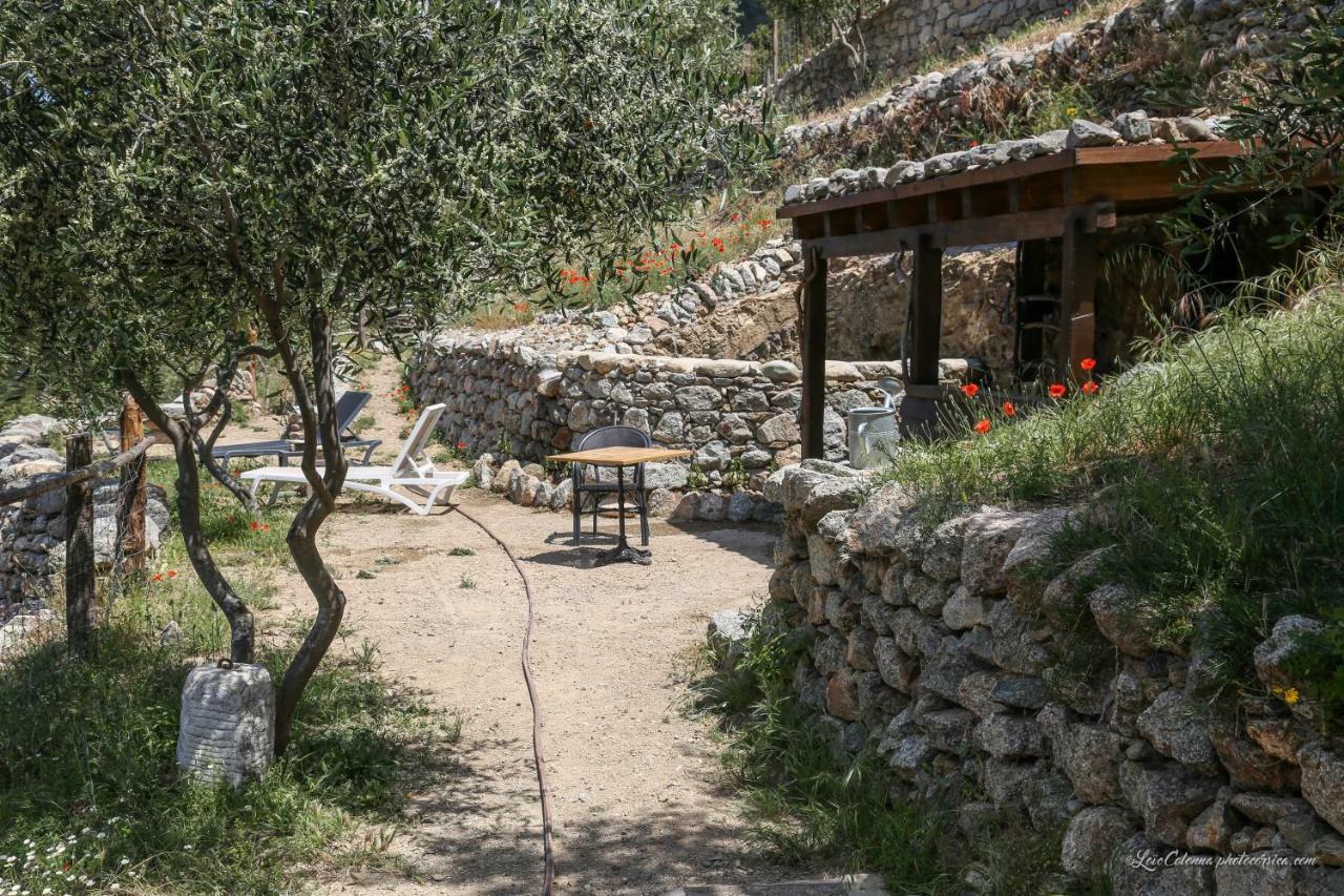 Отель Les Bergeries "Le Figuier" Omessa Экстерьер фото